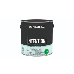 [110470] RENAULAC INTENTION MUR &amp; PLAFOND EXTRA MAT FRESH UP 2,5L