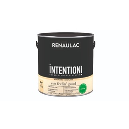 [110473] RENAULAC INTENTION MUR &amp; PLAFOND EXTRA MAT FEELIN GOOD 125ML
