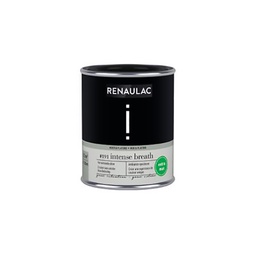 [110479] RENAULAC INTENTION MUR &amp; PLAFOND EXTRA MAT INTENSE BREATH 125ML