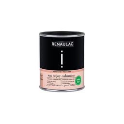 [110488] RENAULAC INTENTION MUR &amp; PLAFOND EXTRA MAT ENJOY CALMNESS 125ML
