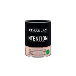 [110489] RENAULAC INTENTION MUR &amp; PLAFOND EXTRA MAT ENJOY CALM 1L