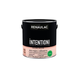 [110490] RENAULAC INTENTION MUR &amp; PLAFOND EXTRA MAT ENJOY CALM 2,5L