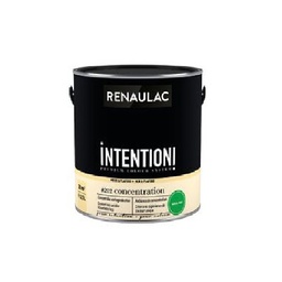 [110493] RENAULAC INTENTION MUR &amp; PLAFOND EXTRA MAT MOTIVATION BOOST 2,5L