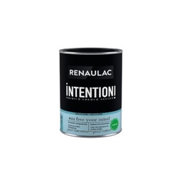 [110498] RENAULAC INTENTION MUR &amp; PLAFOND EXTRA MAT FREE MIND 1L