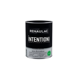 [110510] RENAULAC INTENTION MUR &amp; PLAFOND EXTRA MAT DEVOTION 1L