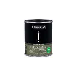 [110524] RENAULAC INTENTION MUR &amp; PLAFOND EXTRA MAT FOREST BATH 125ML