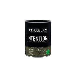 [110525] RENAULAC INTENTION MUR &amp; PLAFOND EXTRA MAT FOREST BATH 1L