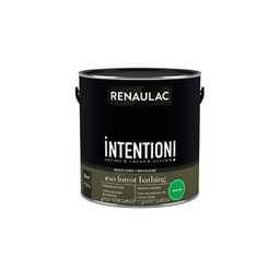 [110526] RENAULAC INTENTION MUR &amp; PLAFOND EXTRA MAT FOREST BATH 2,5L
