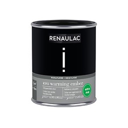 [110539] RENAULAC INTENTION MUR &amp; PLAFOND EXTRA MAT WARMING EMB 125ML