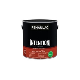 [110552] RENAULAC INTENTION MUR &amp; PLAFOND EXTRA MAT JOY OF LIFE 1L