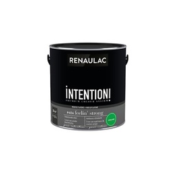 [110568] RENAULAC INTENTION MUR &amp; PLAFOND EXTRA MAT FEELIN STRONG 2,5L