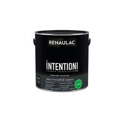 [110571] RENAULAC INTENTION MUR &amp; PLAFOND EXTRA MAT EVENTFUL TIME 2,5L