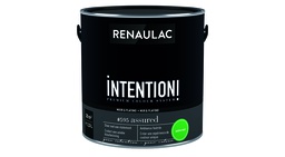 [110598] RENAULAC INTENTION MUR &amp; PLAFOND EXTRA MAT ASSURED 125ML