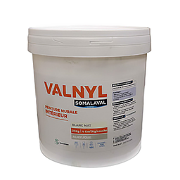 [110911] VALNYL INTERIEUR BLANC 25KG