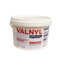 [110970] VALNYL INTERIEUR VERT 4KG