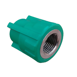 [313144] EMBOUT TARAUDE PPR D40 *1