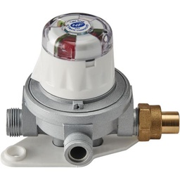 [313896] INVERSEUR AUTOMATIQUE BUTANE NF 2.6KG/H-500MBAR-ENTREE/SORTIE M20/150