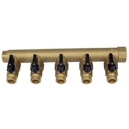 [314060] COLLECTEUR NOURRICE 5 DEPARTS AVEC VANNES 1/2"M - CORPS 3/4