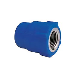 [314111] EMBOUT TARAUDE BLEU DIAM 25*1/2-