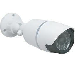 [30658] CAMERA DE SURVEILLANCE FACTICE EXTERIEURE AVIDSEN 123043