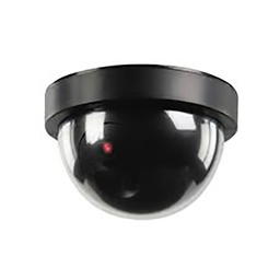 [30667] CAMERA DOME INTERIEURE FACTICE