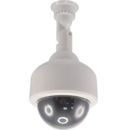 [30670] CAMERA DOME EXTERIEURE FACTICE