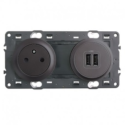 [31727] PRISE DE SURFACE 2P+T + USB GRAPHITE