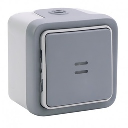 [33248] INTERRUPTEUR OU VA-ET-VIENT TEMOIN ETANCHE CABLAGE EXISTANT PLEXO COMPLET IP55 SAILLIE 10AX 250V - GRIS