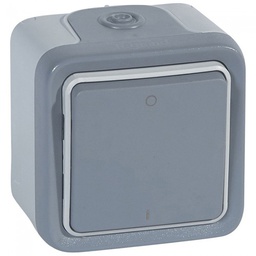 [33250] DOUBLE POLE SWITCH PLEXO - IP55-IK07 - 10 AX-250 V
