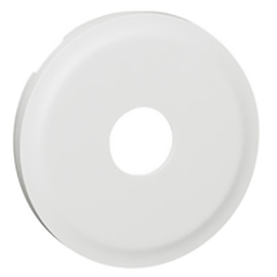[34242] SAGANE- ENJOL BLANC PRISE SIMPLE (SANS PLAQUE