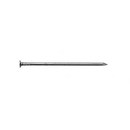 [316239] POINTE TETE PLATE BRUTE - 1KG - 3,1X70 - 1000PCS