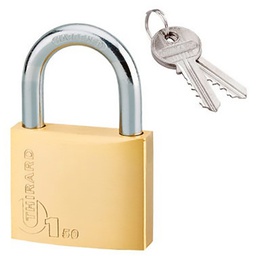 [324544] CADENAS TYPE 1 60 A ACIER 2CLES