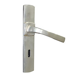 [324725] ENSEMBLE MUZE ENTRAXE 195 CLE L PLATINE