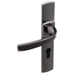 [323734] ENSEMBLE MUZE ENTRAXE 195 CLE I PLATINE