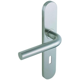 [323861] ENSEMBLE LINOX 491/PLAQUE 6327 ENTRAXE 195 CLE L INOX