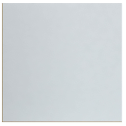 [50501] FAUX PLAFOND PACIFIC ER 12MM 600*600MM,